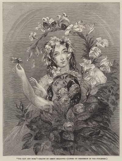 The Lily and Rose by Joseph Kenny Meadows
